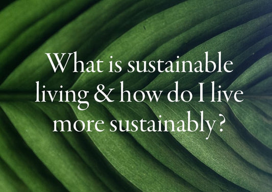 What is sustainable living?