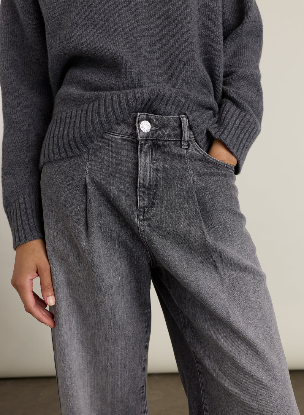 Petite Maria Wide Leg High Waisted Pleated Front Jeans