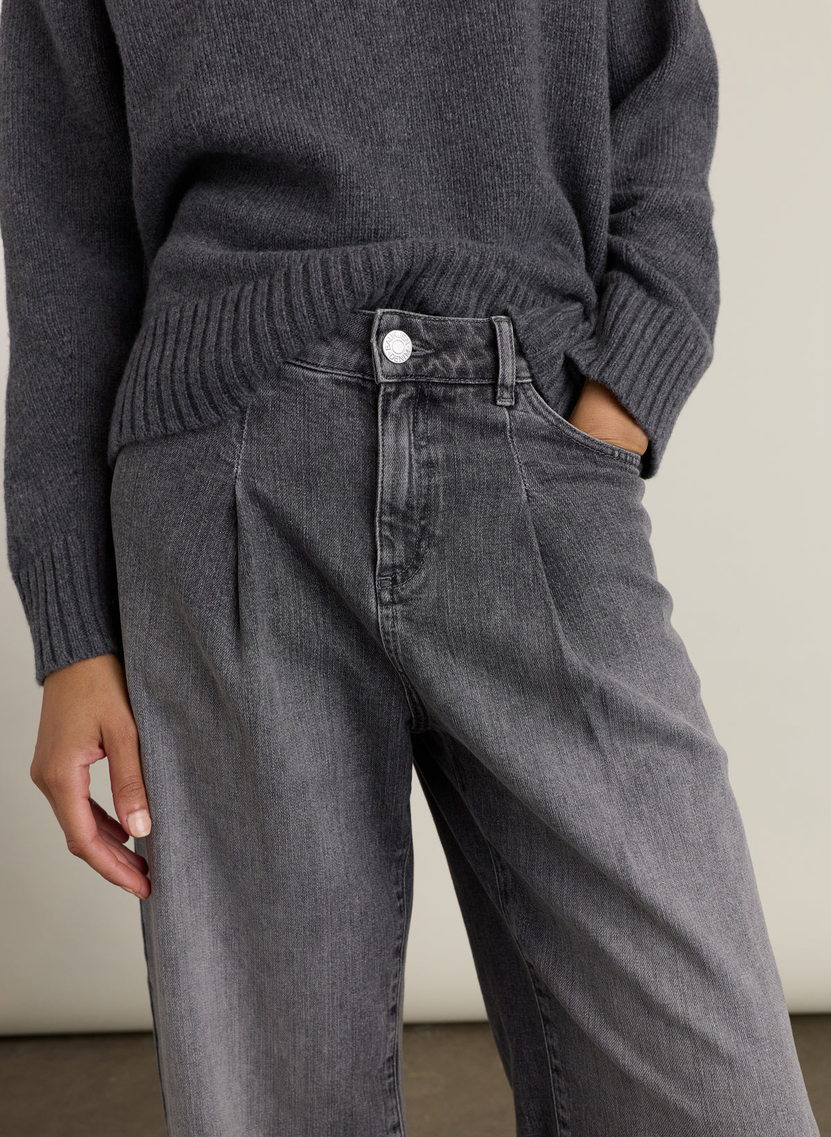 Petite Maria Wide Leg High Waisted Pleated Front Jeans