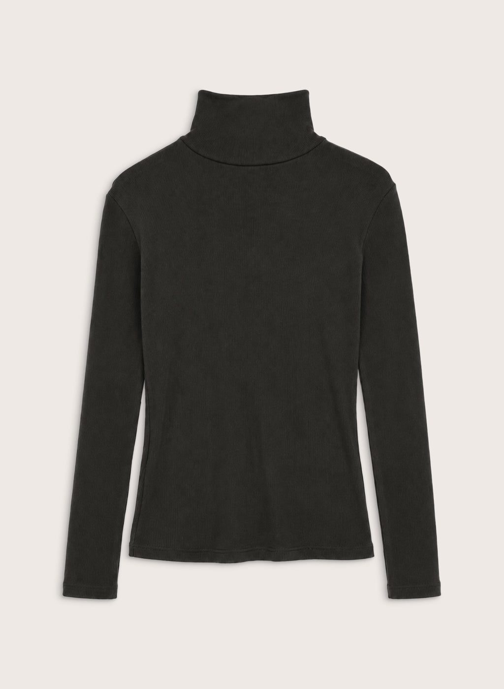 Isla Turtleneck Top