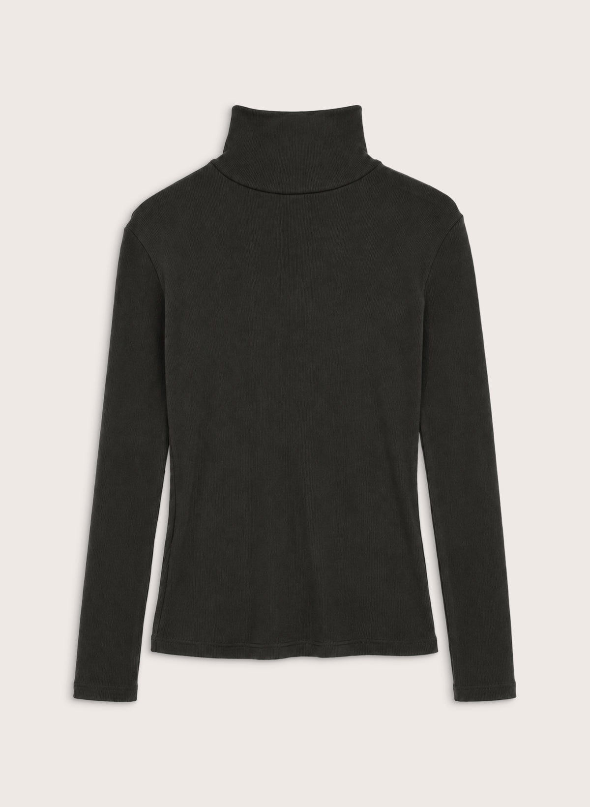Isla Turtleneck Top