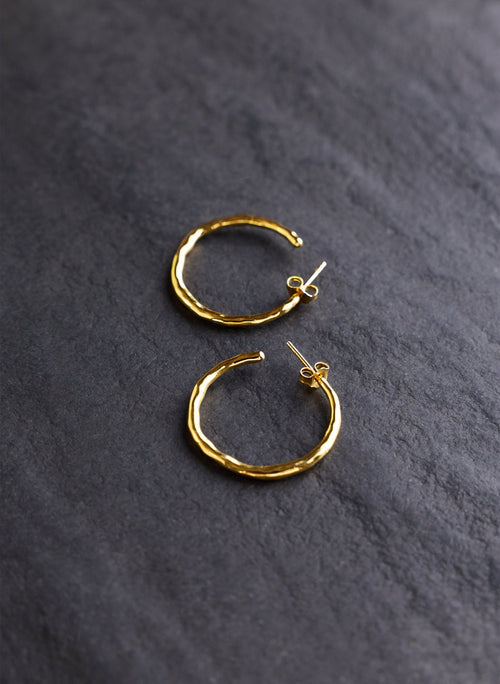 Arie Hammered Hoop Earrings - One Size Baukjen
