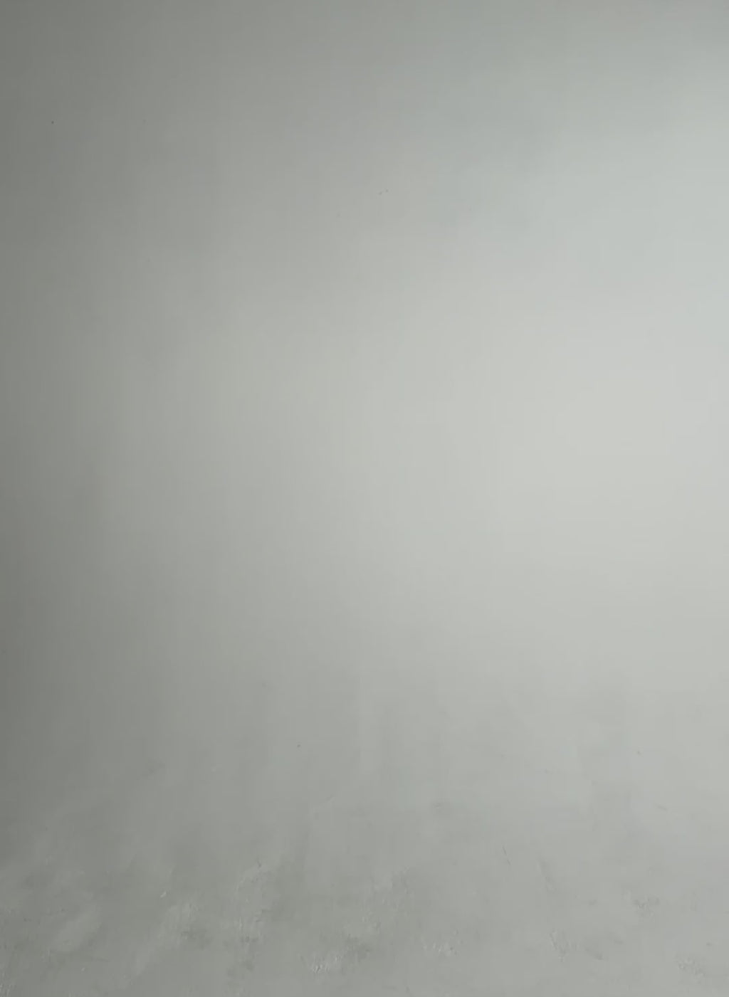 Paige Luxe Turtleneck Top