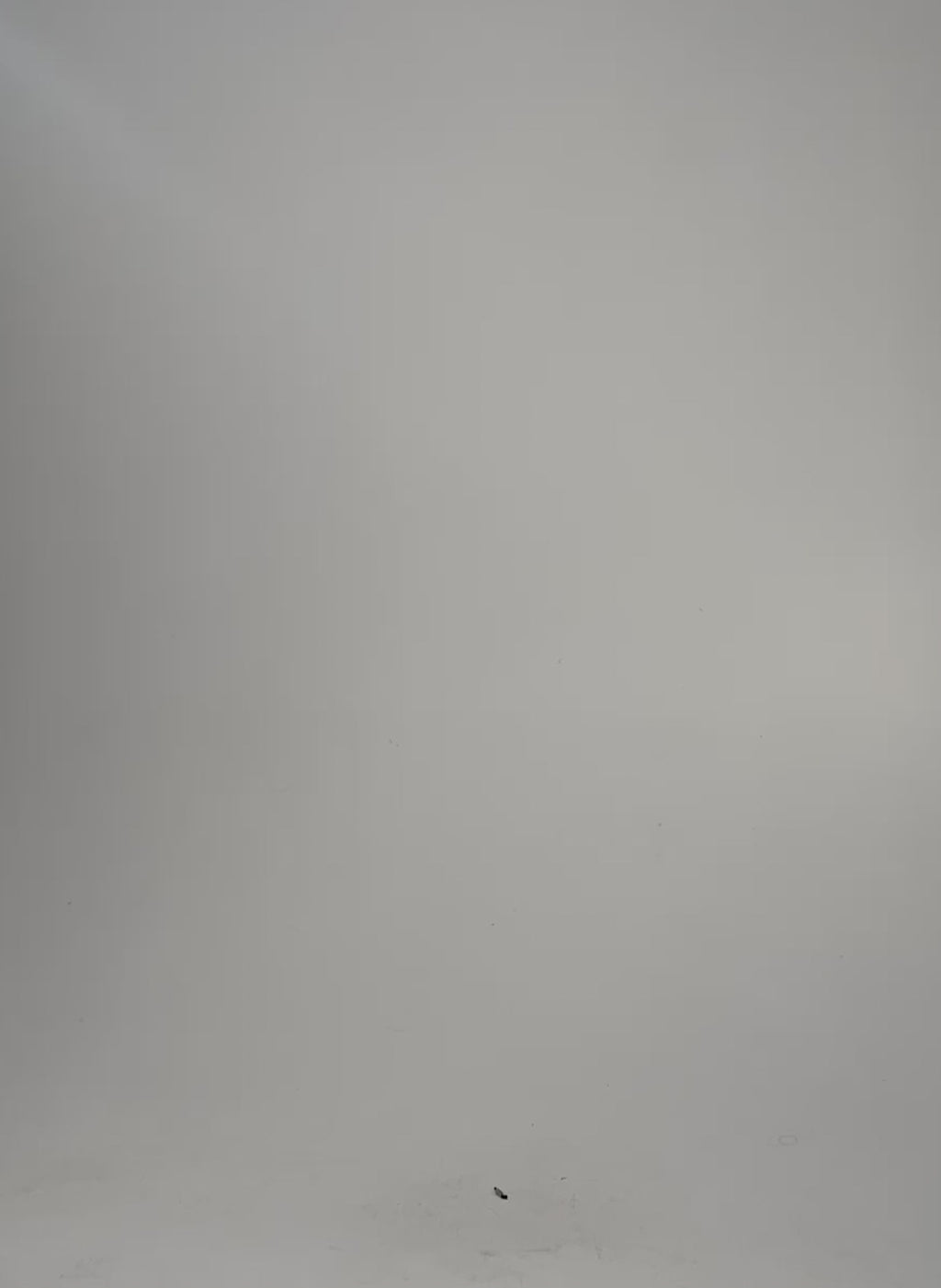 Petite Neath Tapered Trousers