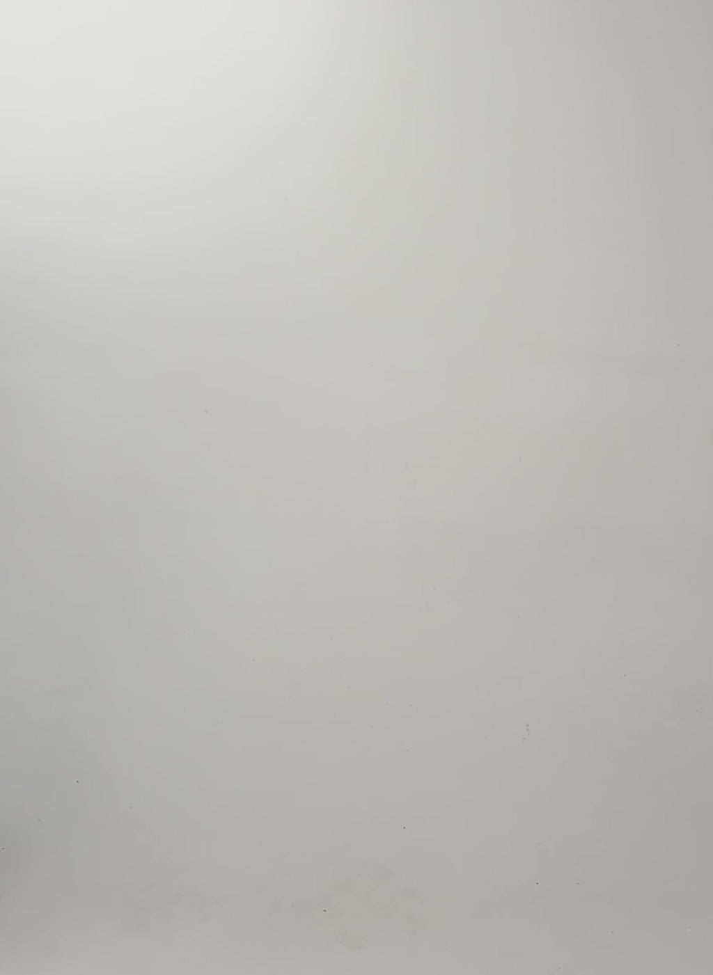 Carrie Relaxed Boat Neck Tee