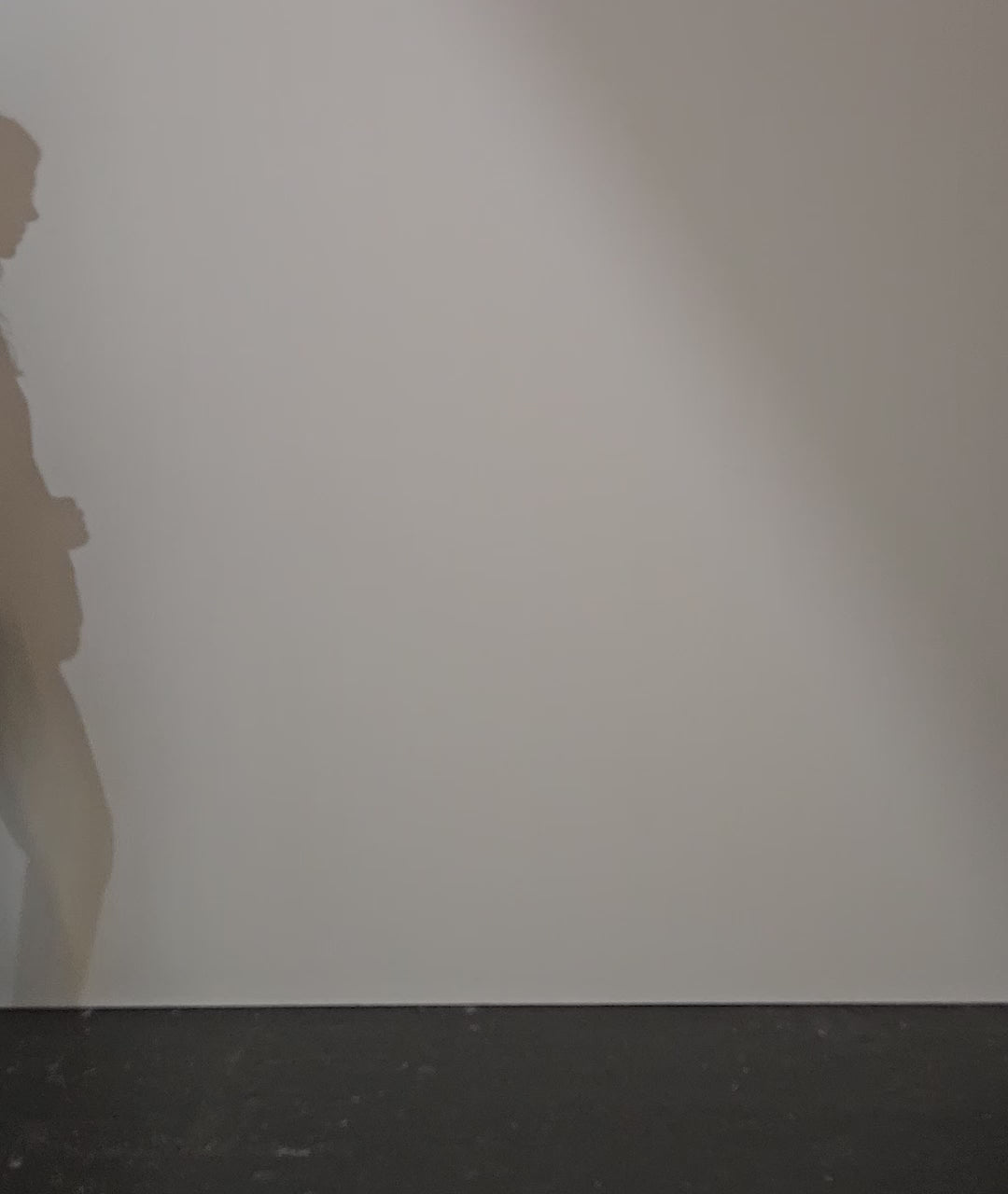 Rishma Organic Cotton Shirt