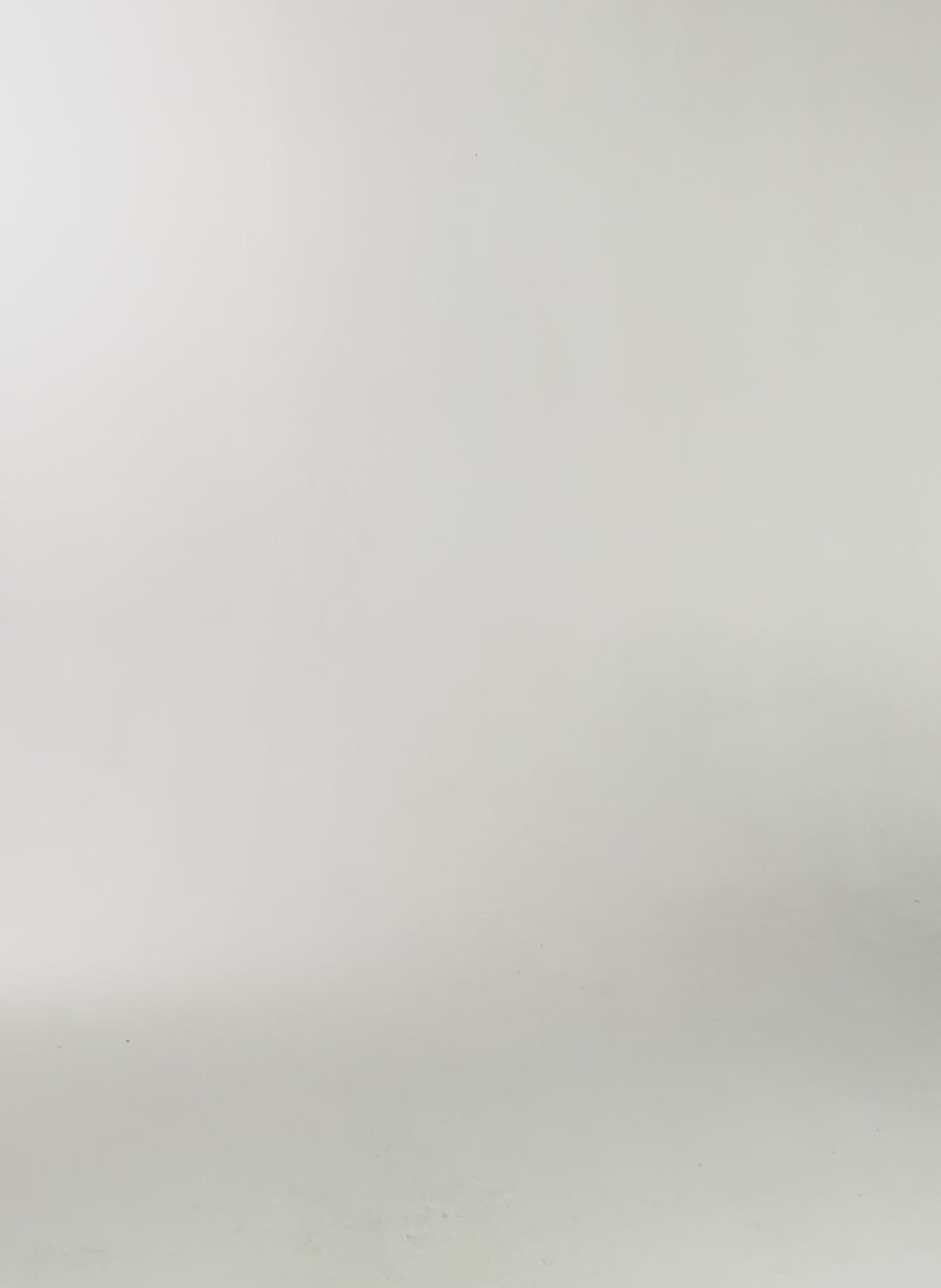 Cela Printed Blouse