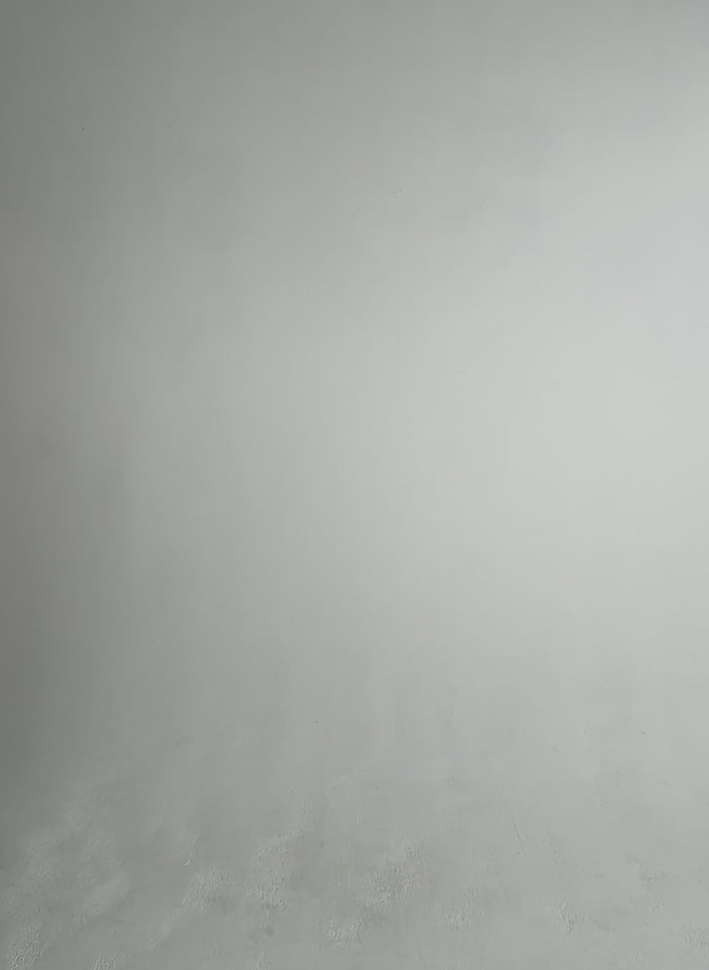 Fern Organic Cotton Collar Top