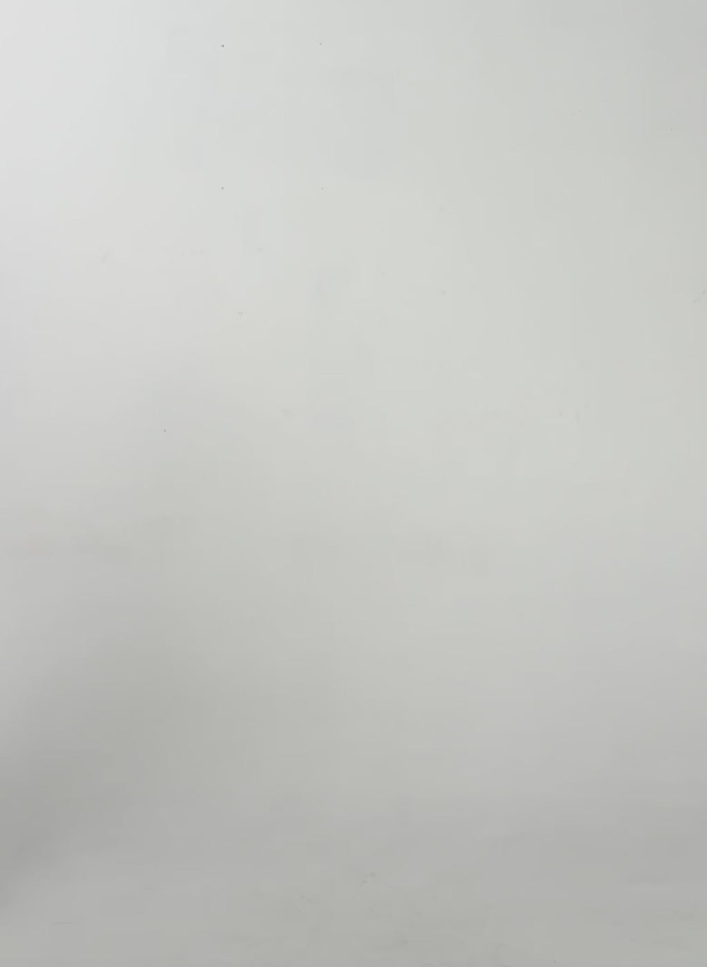 Yolanda Ponte Tailored Blazer