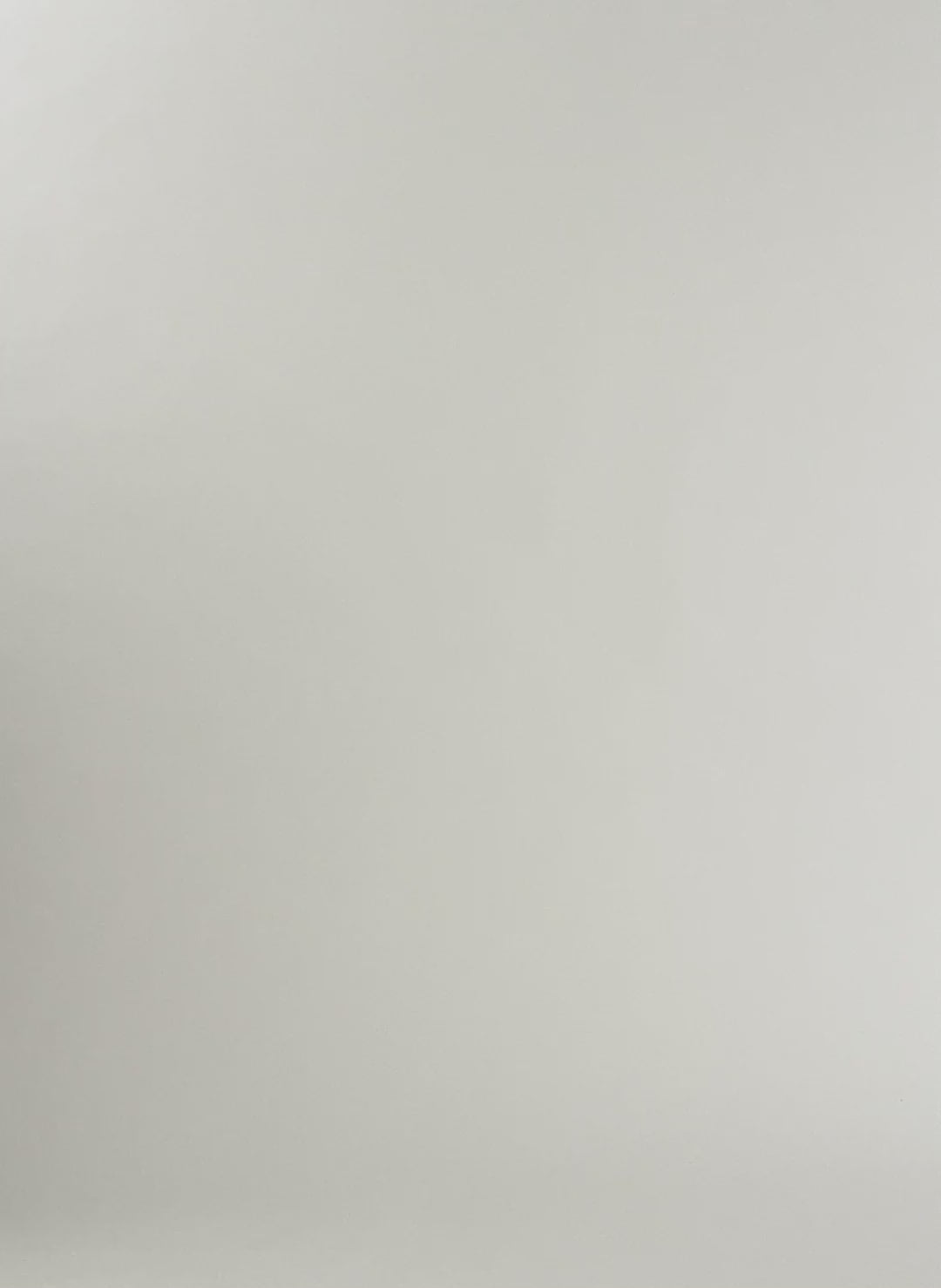 Carrie Boat Neck Top