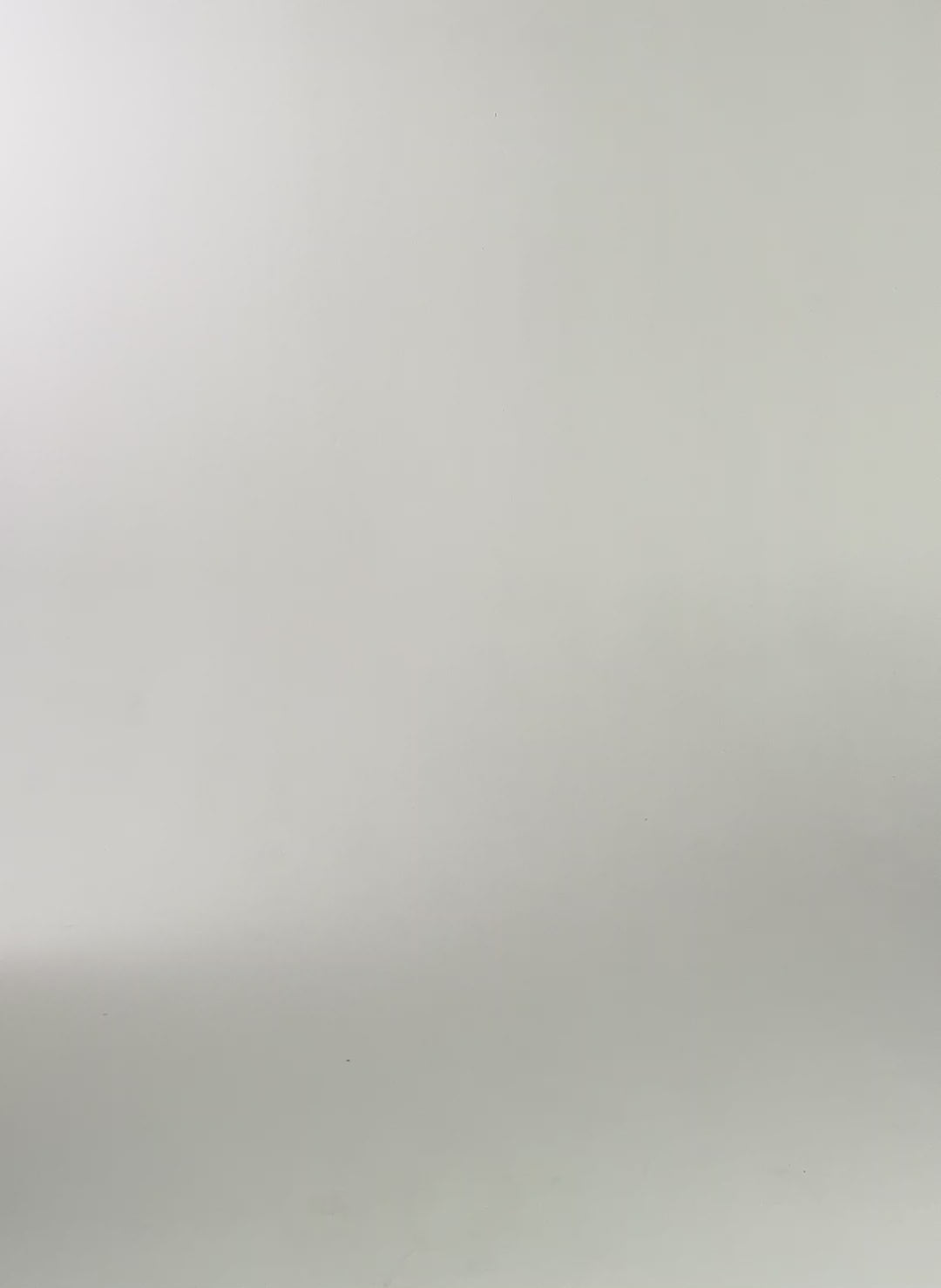 Riemke Organic Cotton Shirt