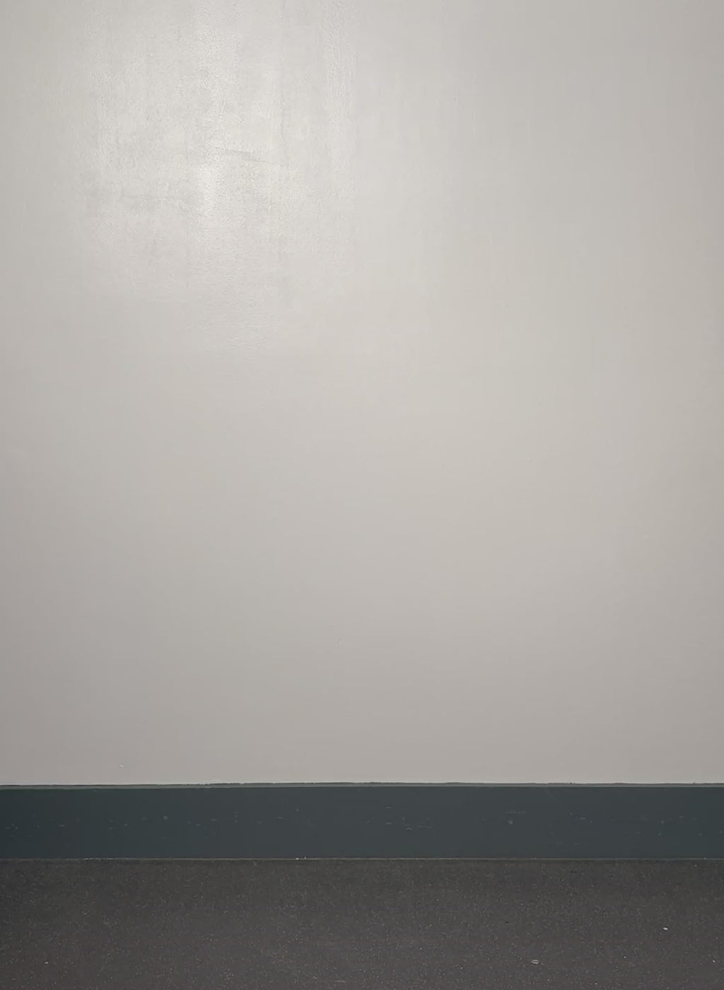 Britney Organic Cotton Stretch Denim Shorts