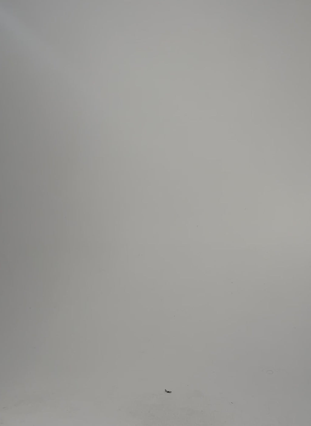 Ashley Organic Cotton Top