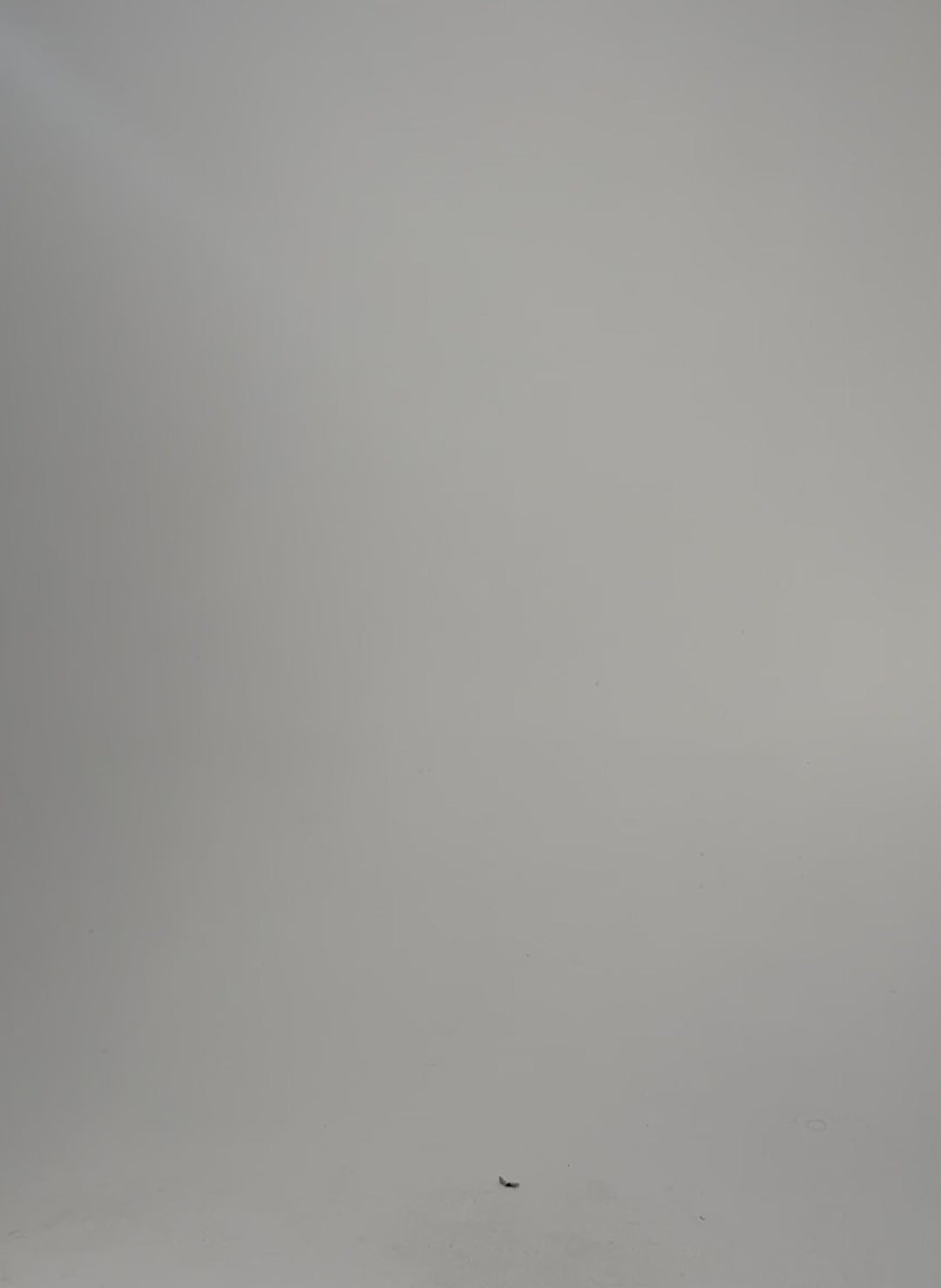 Ashley Organic Cotton Top