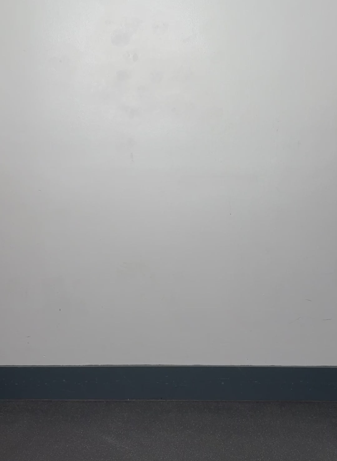 Carmen Leather Skirt