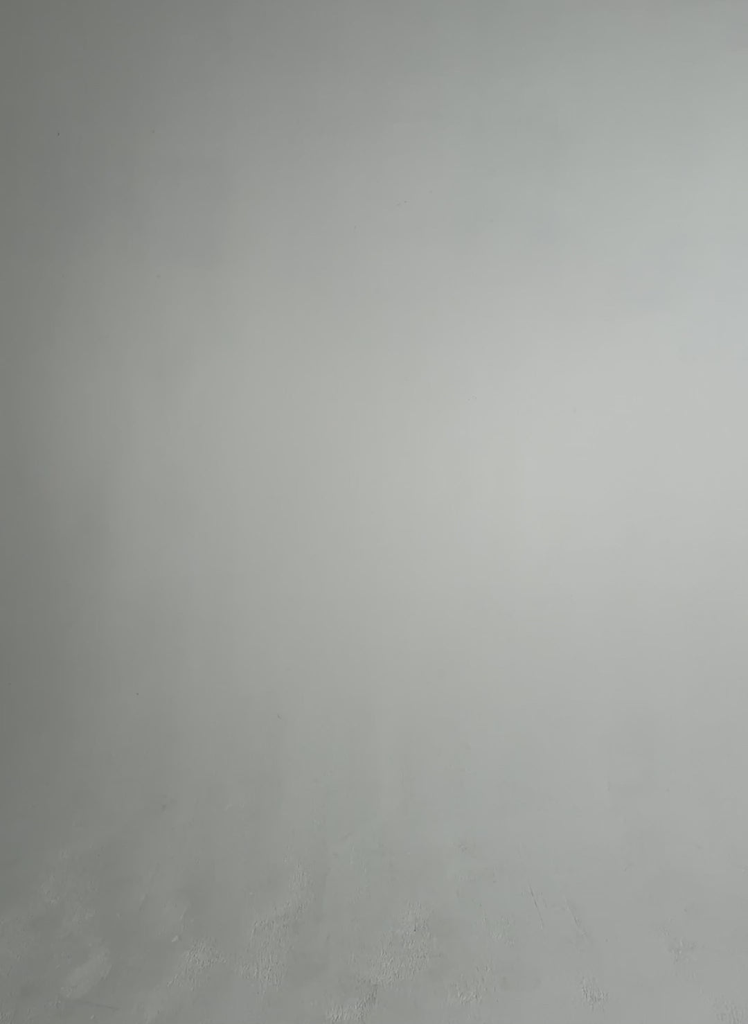 Petite Robyn Organic Cotton Stretch Jeans