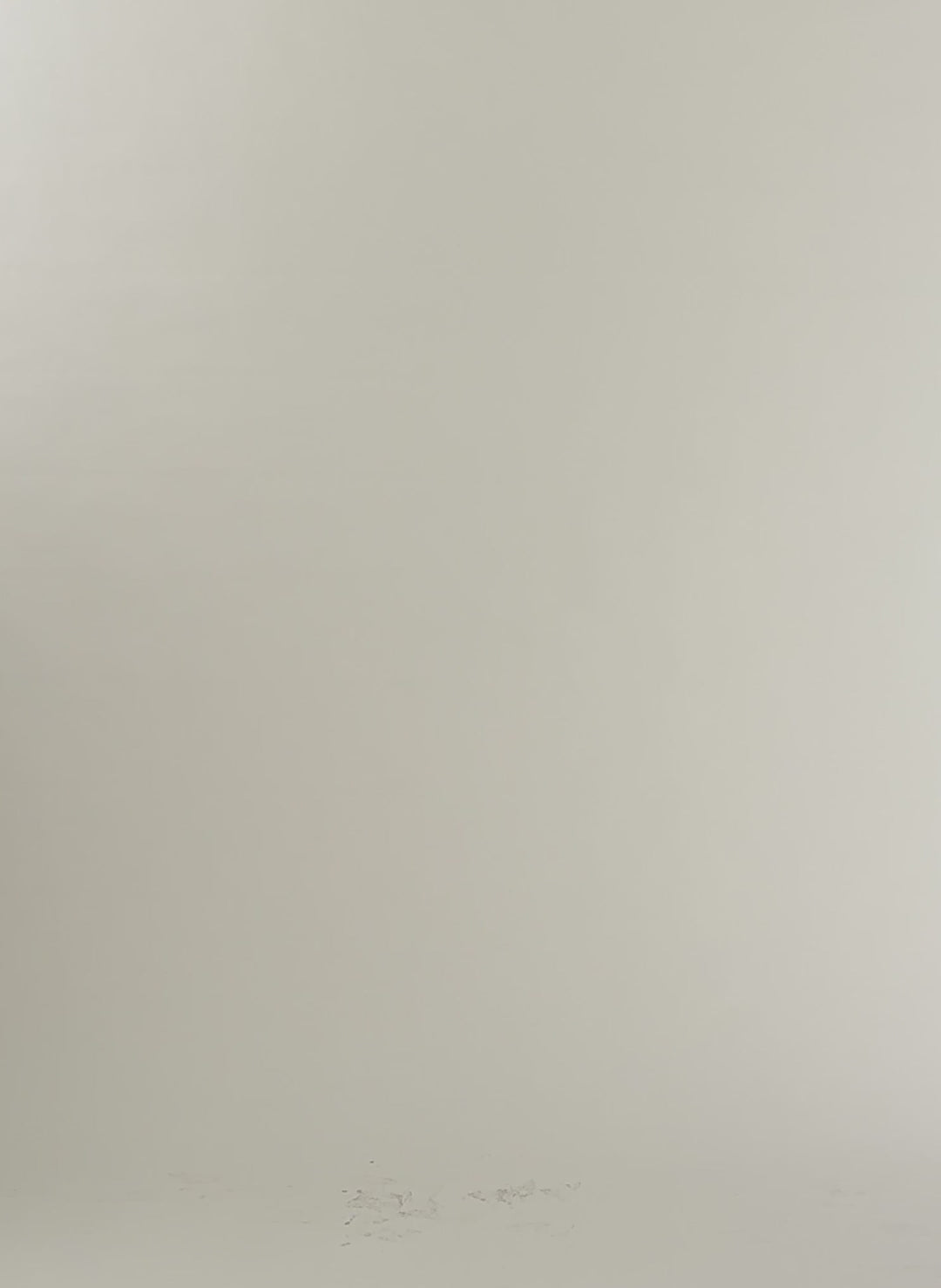Dani Ruched Waist Top